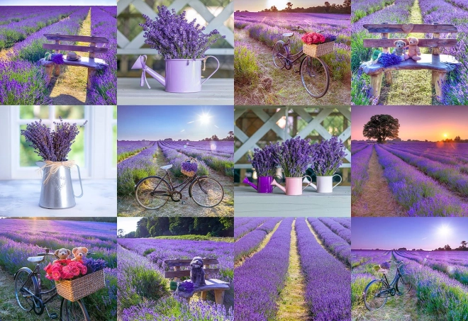 Houten puzzel Lavendel Frankrijk 2-in-1