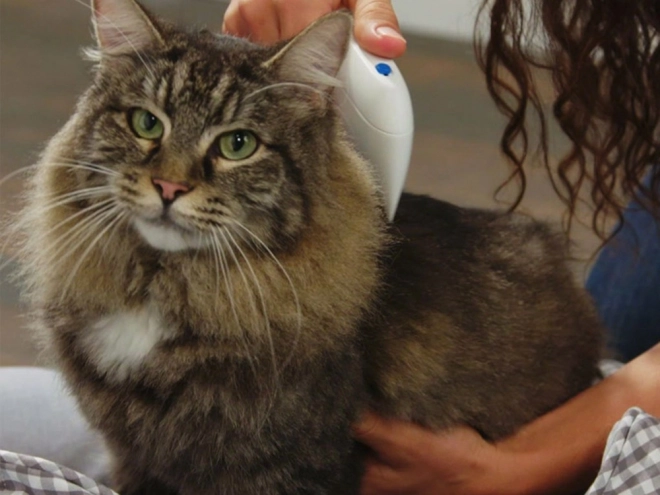 Elektrische vlooienkam voor honden en katten