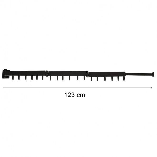 Wandgemonteerde opvouwbare droogrek zwart 123 cm