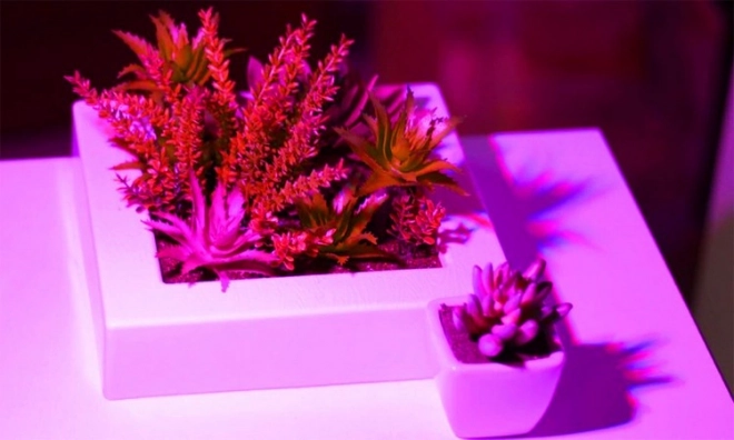 LED lamp voor plantengroei 200 LED E27
