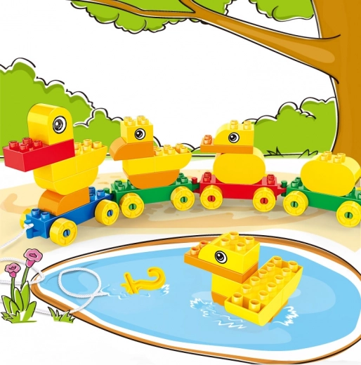 Supports skill development