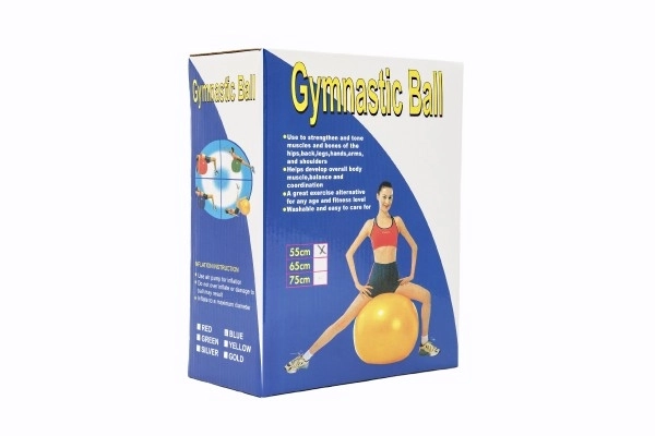 Gymnastikball für Training und Entspannung