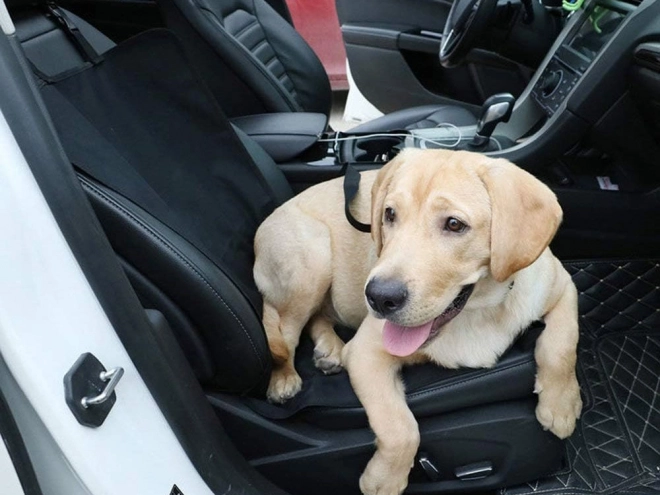 Waterbestendige opvouwbare autostoelhoes voor honden