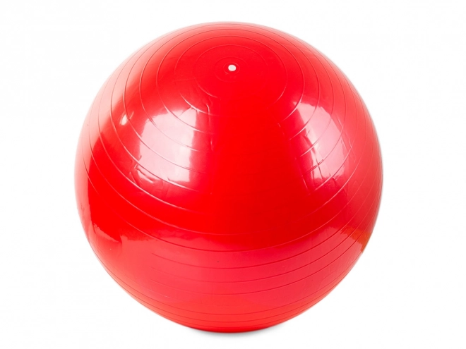 Gymnastiekbal met pomp voor fitness en revalidatie