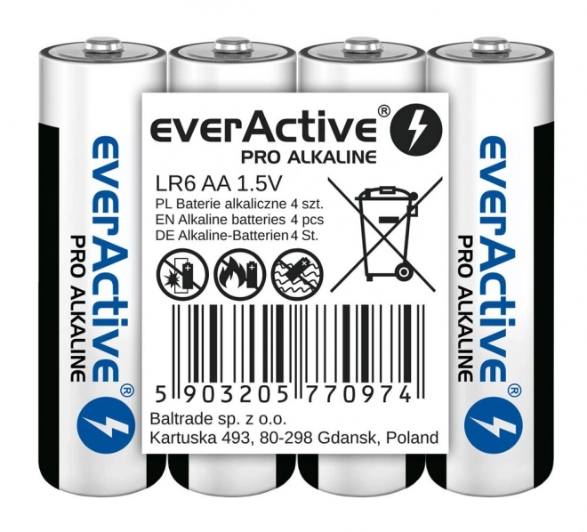 AA alkaline batterij everActive