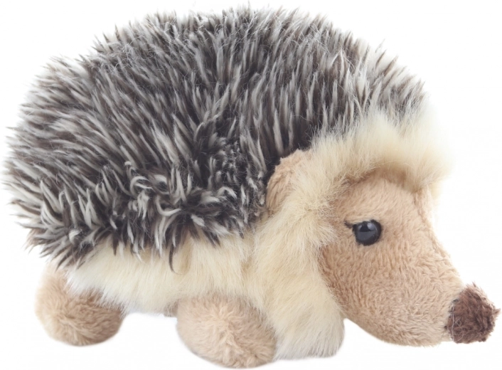 Soft companion for first cuddles
