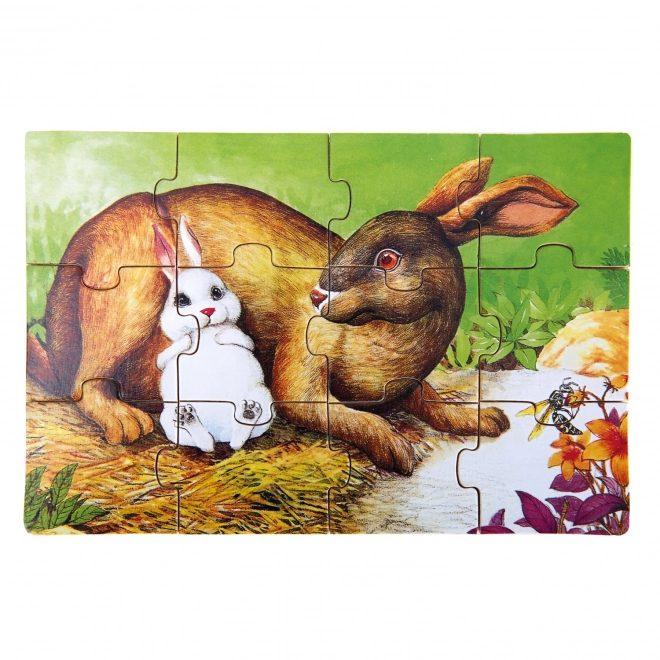 Houten puzzel dieren in doos