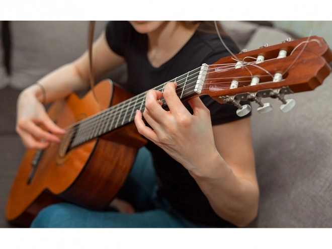 Nylon-Saiten für klassische Gitarre Alice - Satz 6 Stk.