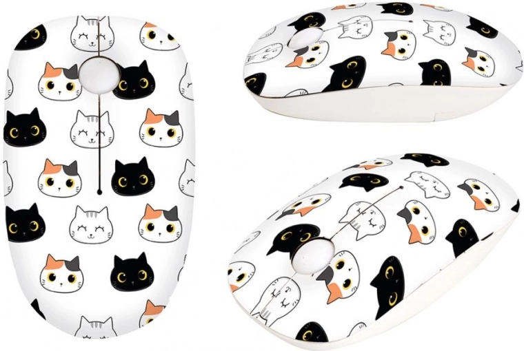 Playful cat design