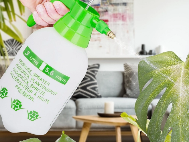 Pressure Hand Sprayer 3L for Plants