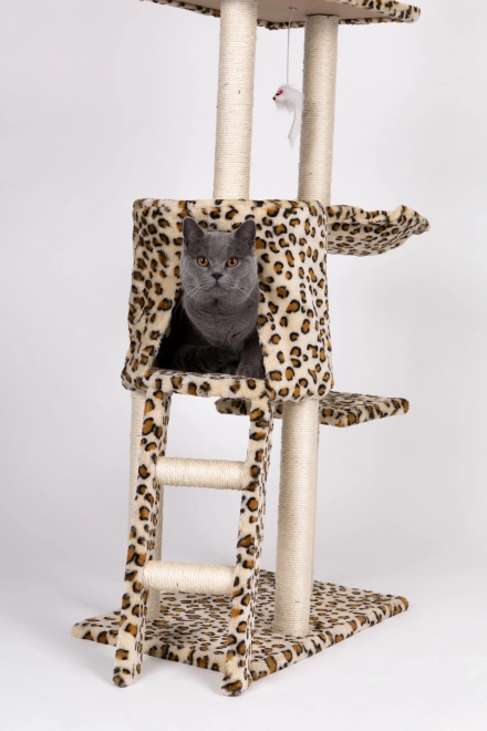 Arbre à chat, maison, arbre, lit, 138cm xl, Panther