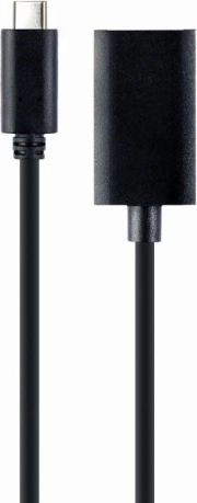 Adapter USB-C zu DisplayPort 4K 15 cm