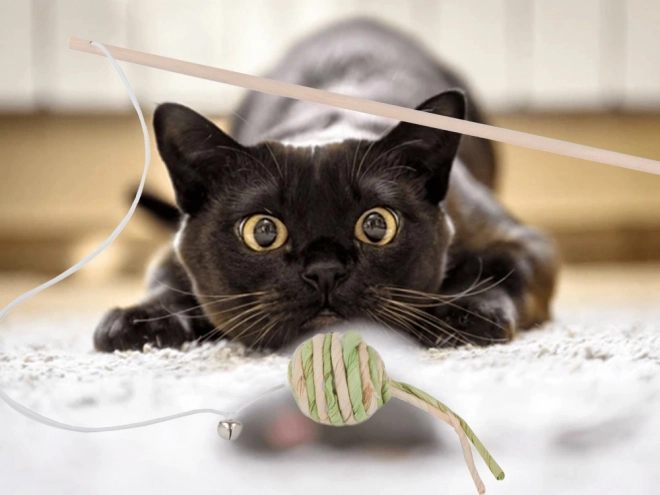 Katzenspielzeug Angel mit Ball und Rassel