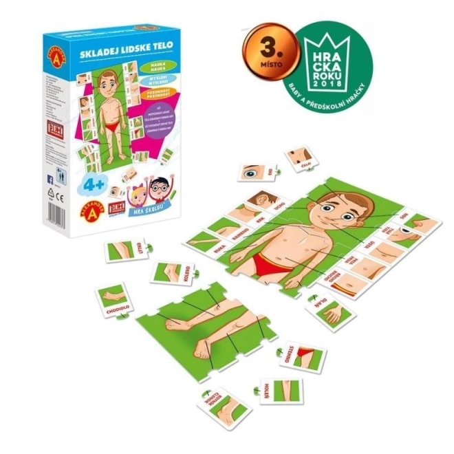 Spel School4 - SAMENSTELLEN VAN HET LICHAAM