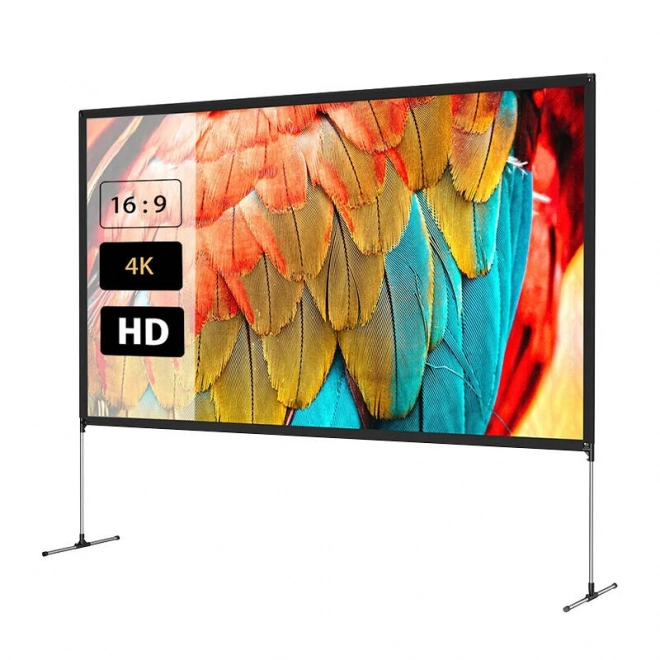 Draagbaar projectiescherm BlitzWolf 120"