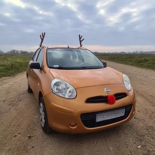 Rendierhoorns voor auto Xtrobb 20223