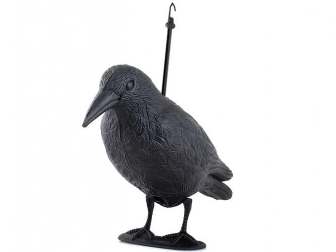 Vogelverschrikker - raaf