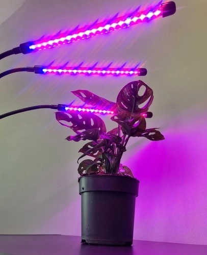 Lamp 20 LED 3 stuks voor plantengroei Gardlov 19242