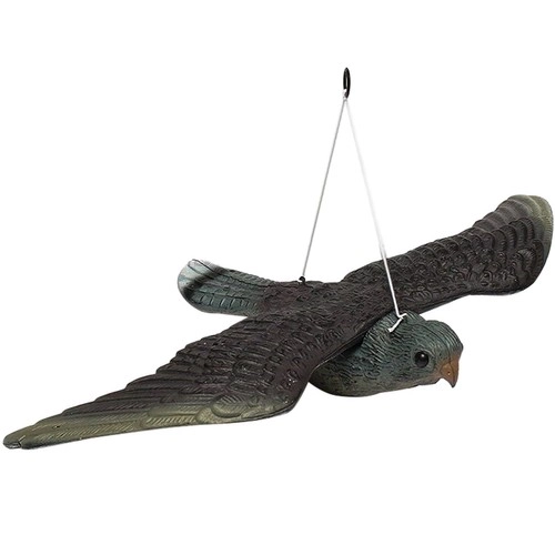 Bird Repellent Falcon