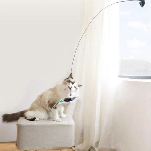 Kattenspeeltje met zuignap en vogeltje