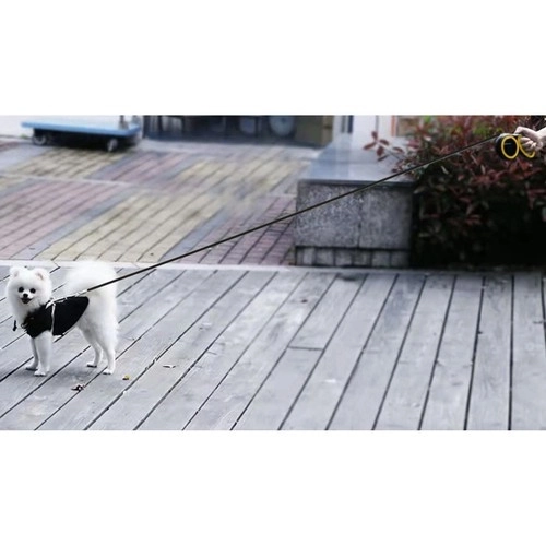 Automatische Hundeleine 8m Für Große Hunde