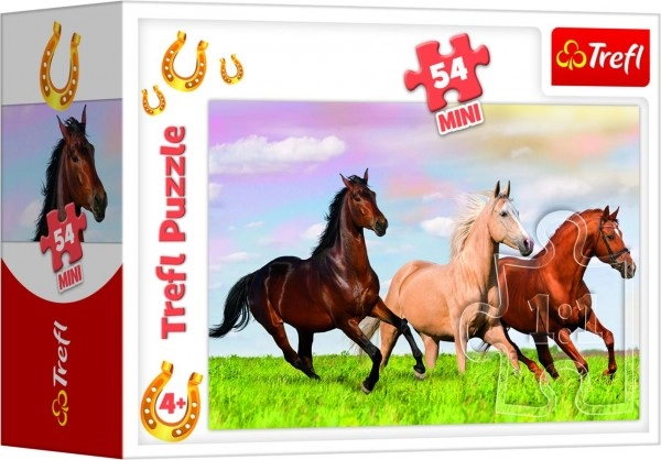Beautiful horse designs