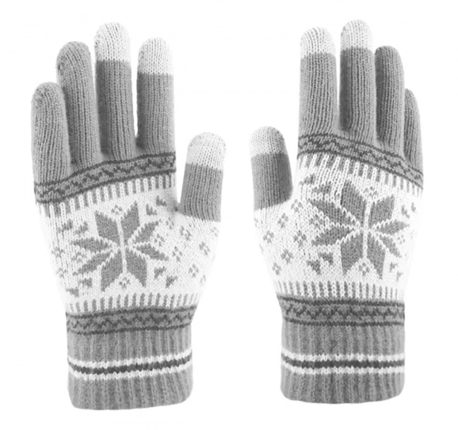 Touch handschoenen Grijze Ster