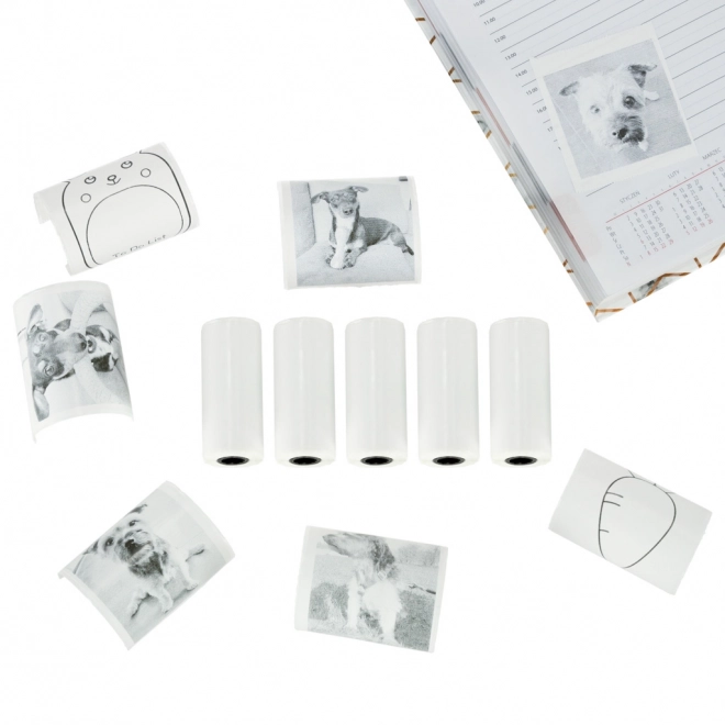Thermisch zelfklevend papier in rollen voor mini-printer 5,7 cm x 4,5 m 5 stuks