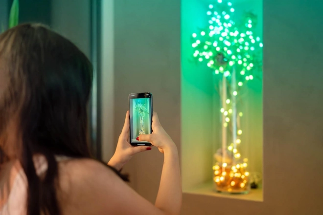 Slimme decoratieve lichtsnoeren USB-C (Candies) 100 LED RGB, kaarsen, groene kabel, 6 m