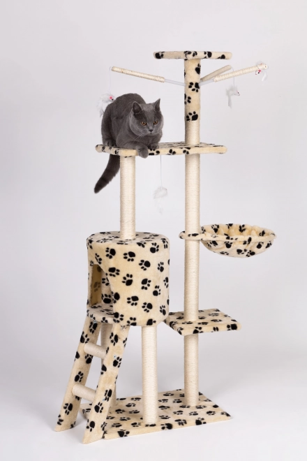 Arbre à chat, maison, arbre, lit, 138cm XL, empreintes de pattes