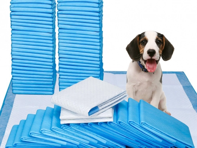 Trainingskussens voor honden 60x90 cm
