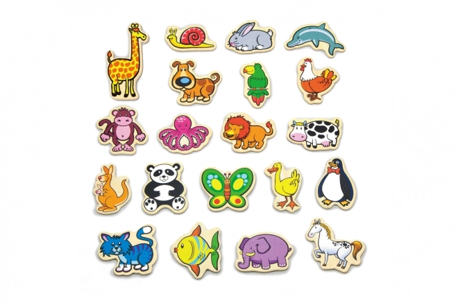 Colorful Magnetic Figures
