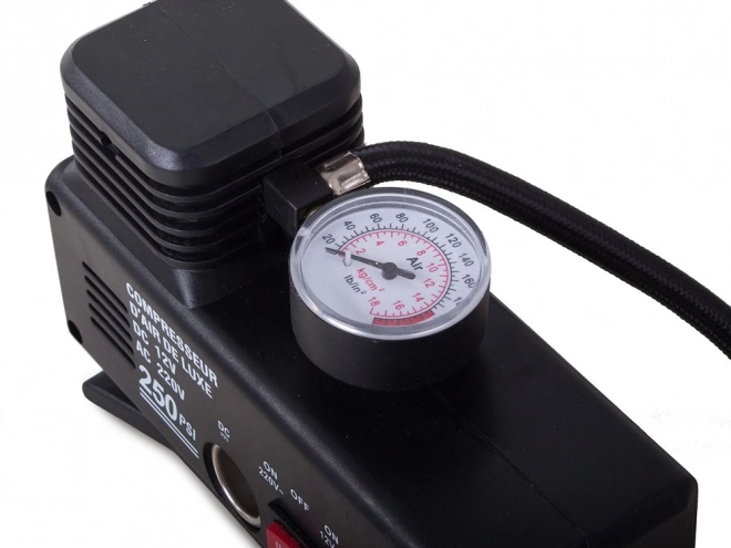 Car Compressor Pump 230V/12V