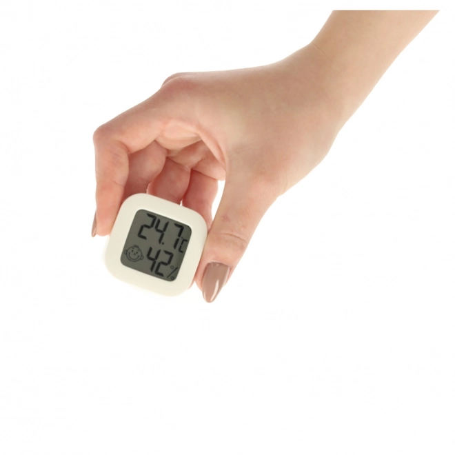 Hygrometer en kamertemperatuurmeter LCD
