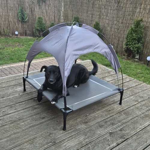 Canopied Dog Bed for XXL Dogs Purlov