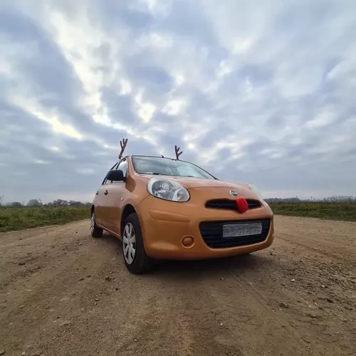 Rendierhoorns voor auto Xtrobb 20223