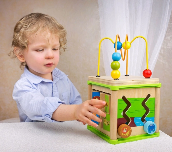 Bino Cube Motorique 5 en 1