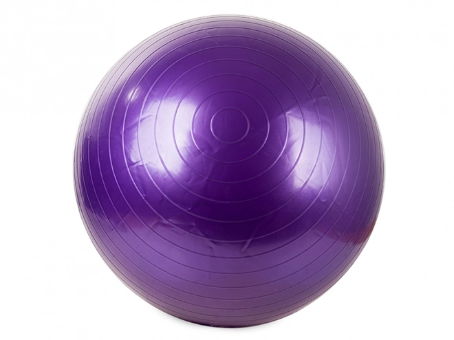 Gym bal met pomp