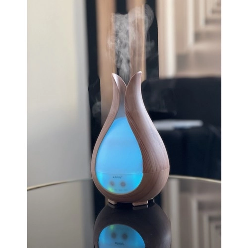 Aroma Diffusor und Luftbefeuchter 200ml Ruhhy