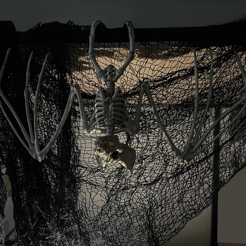 Squelette de chauve-souris - décoration 30 cm Malatec