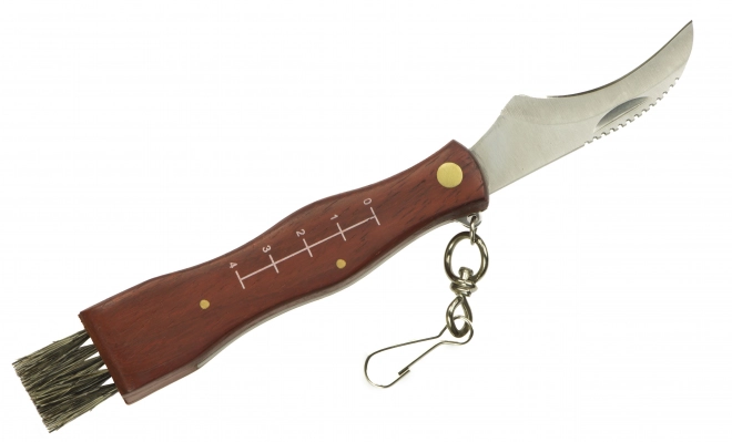 Mushroom Collecting Pocket Knife