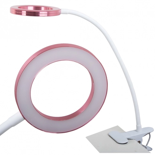 Wireless LED Desk Lamp with Organizer