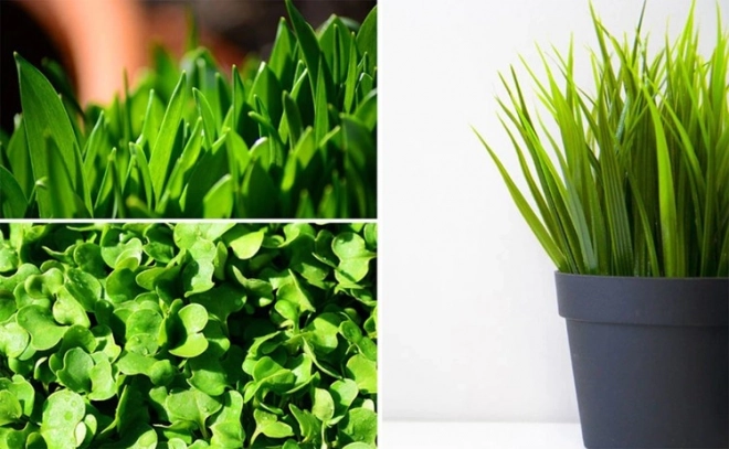 LED lamp voor plantengroei 200 LED E27