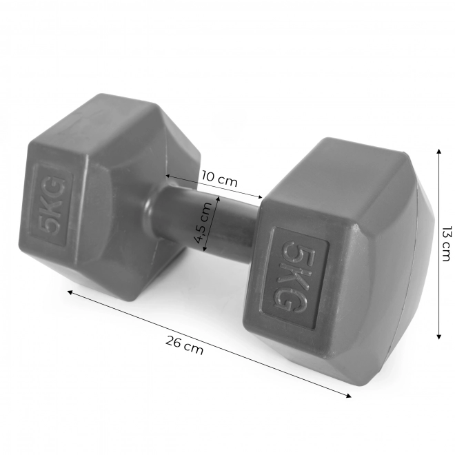Set van zeshoekige halters 2x5 kg grijs ModernHome