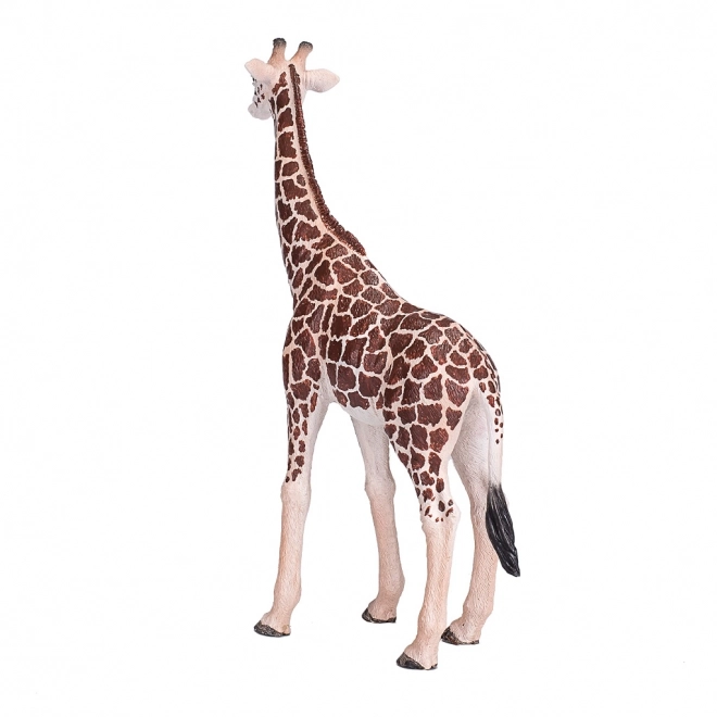 Mojo Dieren Planeet giraffe wijfje