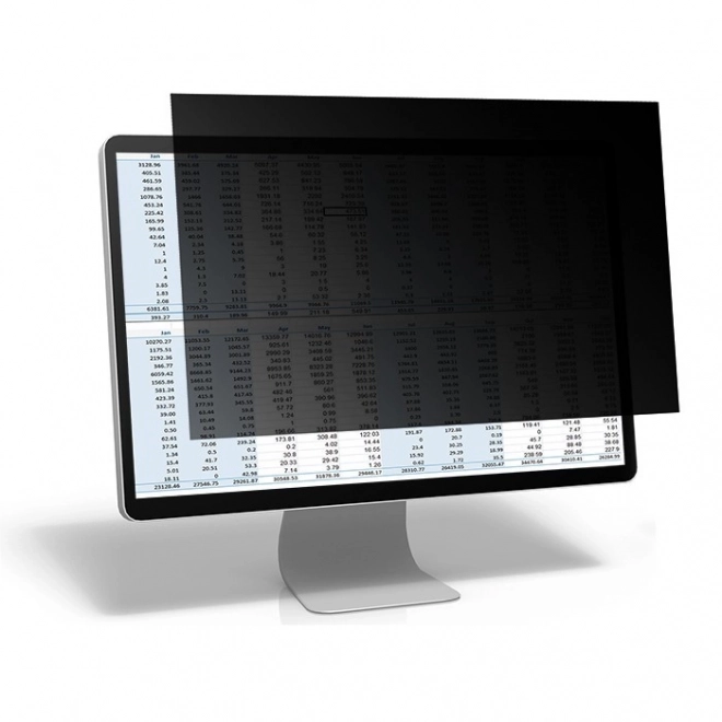 Privacyfilter RODO 23,6 inch 16:9