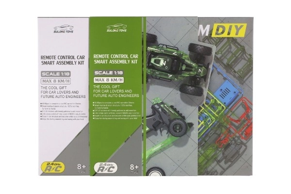 Auto RC buggy kunststof 22cm bouwset 24MHz op batterijen groen in doos 34x25x7cm