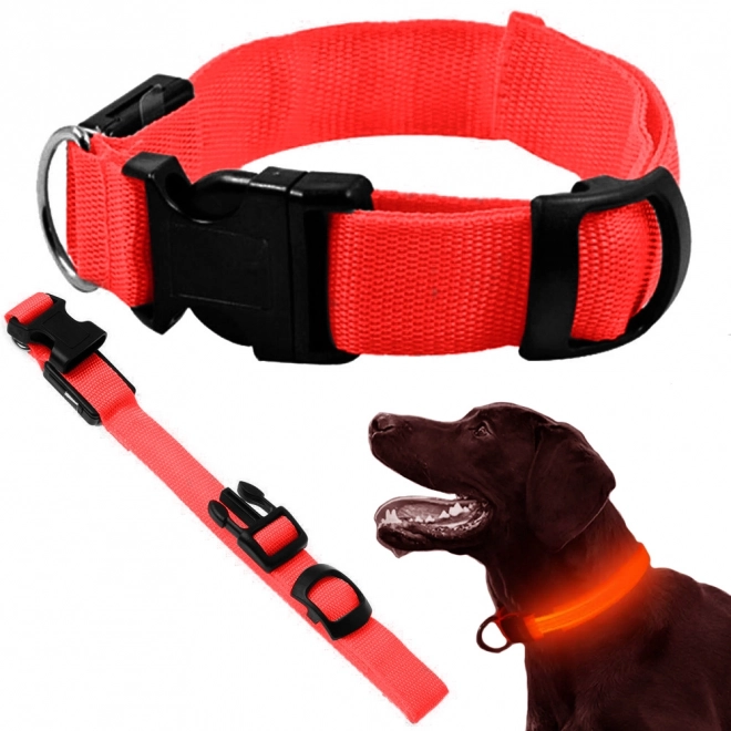 Led lichtgevende halsband voor huisdieren