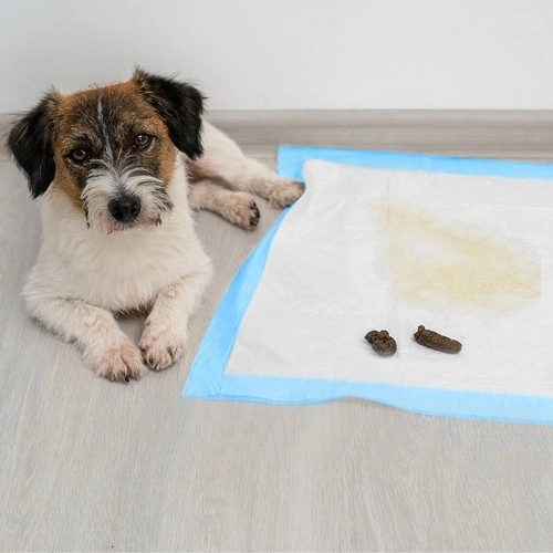 Einweg-Hygienische Unterlagen 60x60 cm - Set mit 50 Stück von Purlov