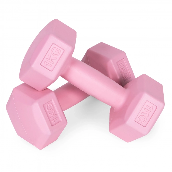Haltères roses 2x1 kg ModernHome